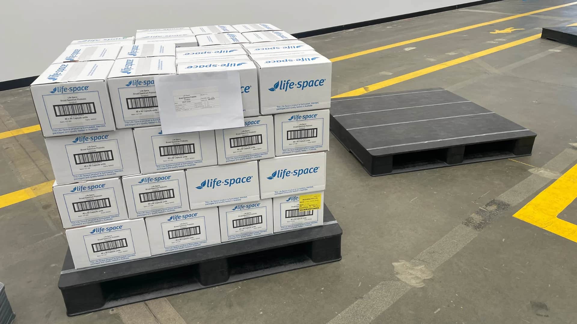 Pharmaceutical & Healthcare — plastic pallets and material handling
