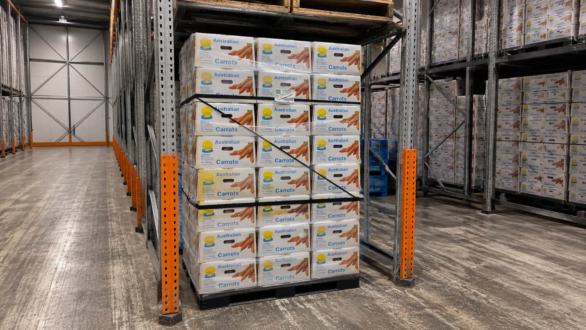 Warehousing & Logistics — plastic pallets and material handling